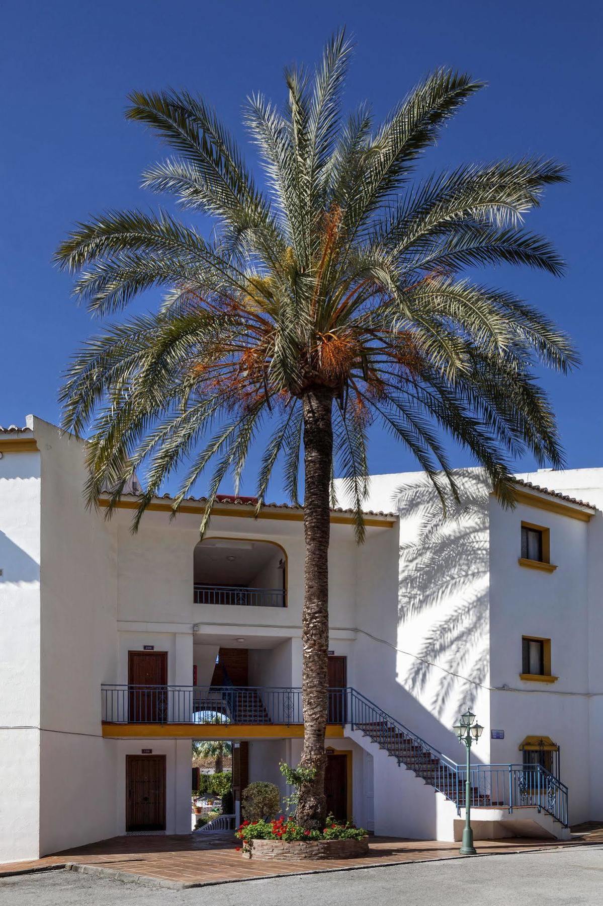 Crown Resorts Club La Riviera La Cala De Mijas Eksteriør billede